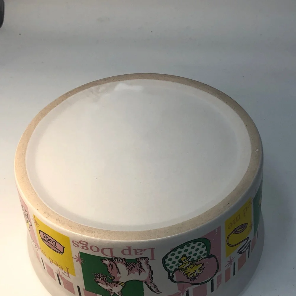 Colorful Ceramic large Dog Bowl with dog Design